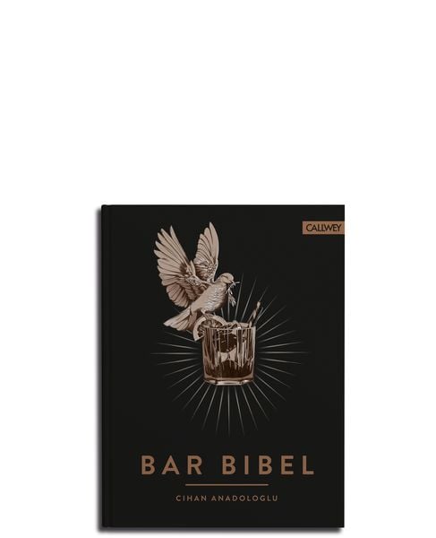 Bar Bibel