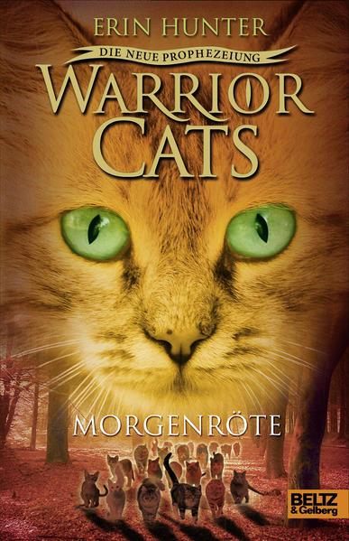 Warrior Cats Staffel 2/03. Die neue Prophezeiung. Morgenröte