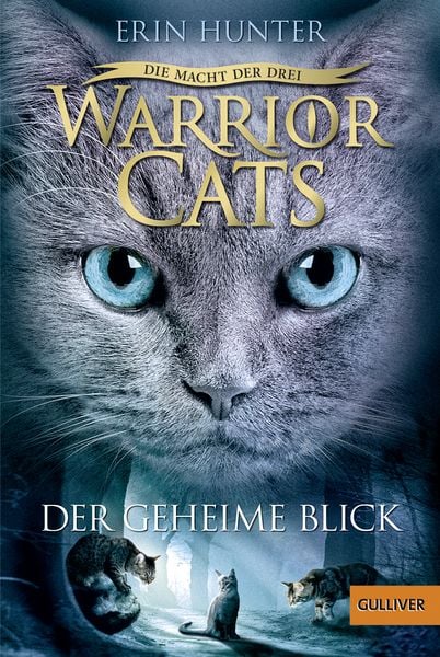 Der geheime Blick / Warrior Cats Staffel 3 Band 1