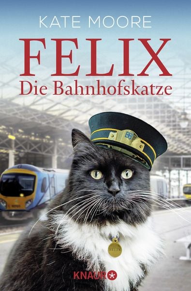 Felix - Die Bahnhofskatze