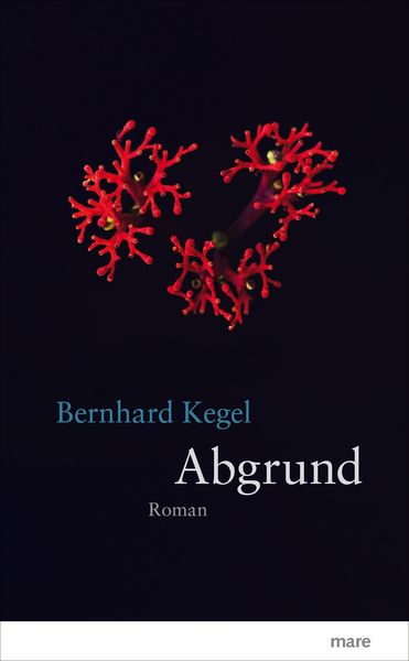 Abgrund