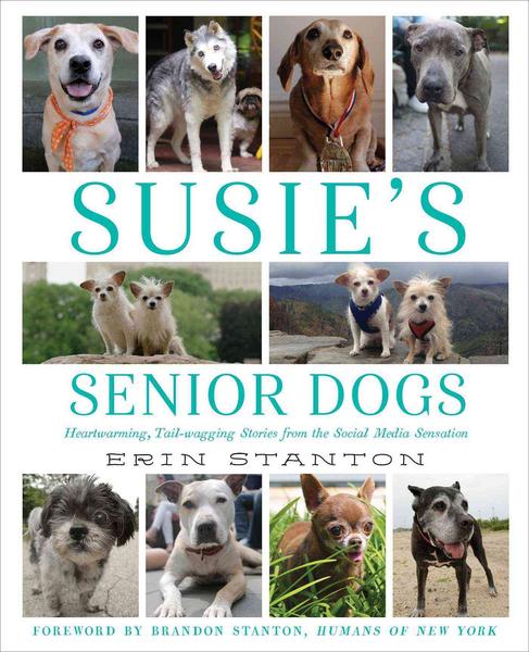 Stanton, E: Susie's Senior Dogs