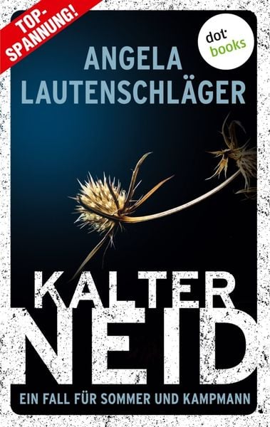 Kalter Neid - Ein Fall für Sommer und Kampmann: Band 1