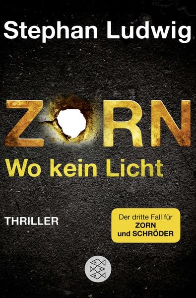 Zorn - Wo kein Licht / Hauptkommissar Claudius Zorn Band 3