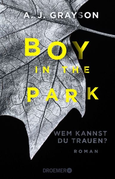 Boy in the Park - Wem kannst du trauen?