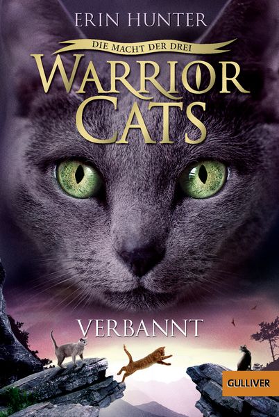 Verbannt / Warrior Cats Staffel 3 Band 3