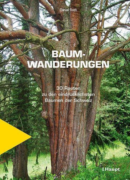 Baumwanderungen