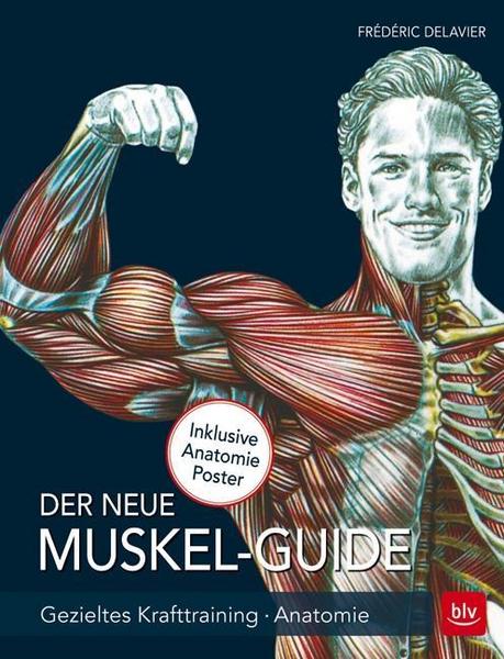Der neue Muskel Guide