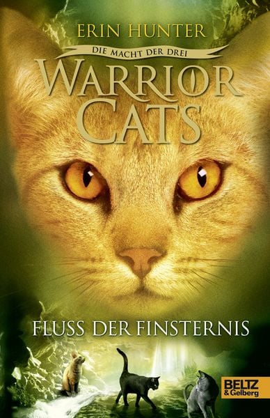 Warrior Cats 3/02: Die Macht der drei. Fluss der Finsternis