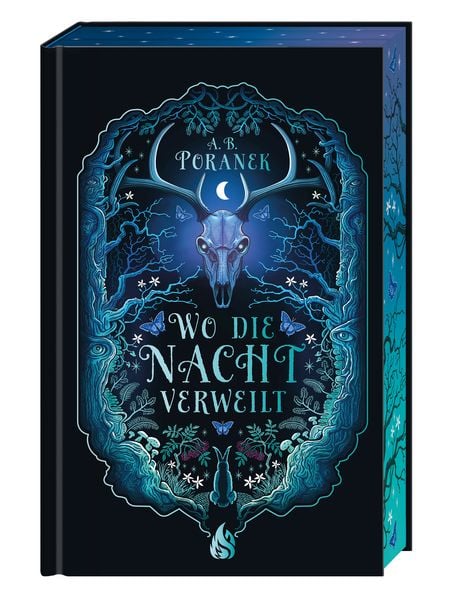 Wo die Nacht verweilt