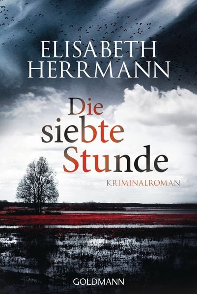 Die siebte Stunde / Joachim Vernau Band 2