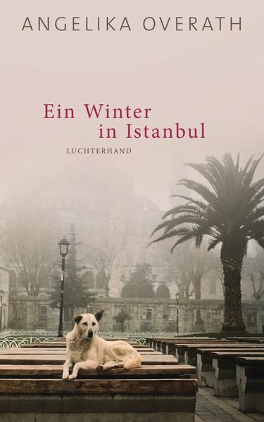 Ein Winter in Istanbul