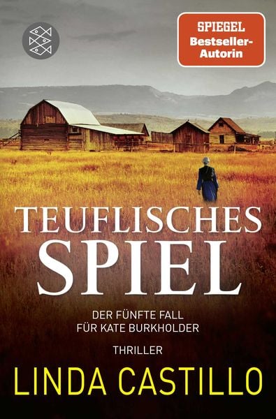 Teuflisches Spiel / Kate Burkholder Band 5