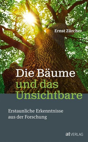 Die Bäume und das Unsichtbare