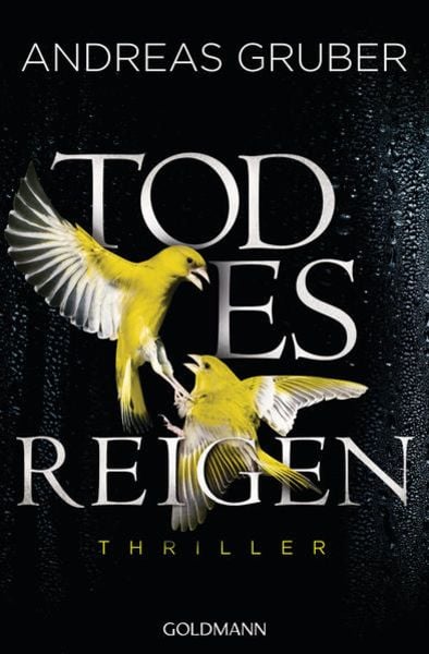 Todesreigen / Maarten S. Sneijder Band 4