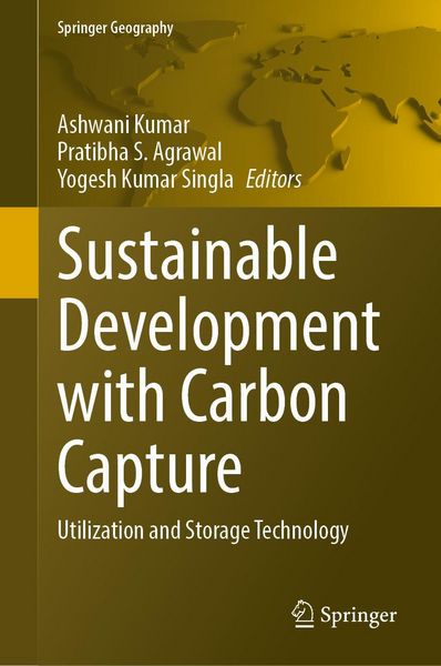 Sustainable Development with Carbon Capture