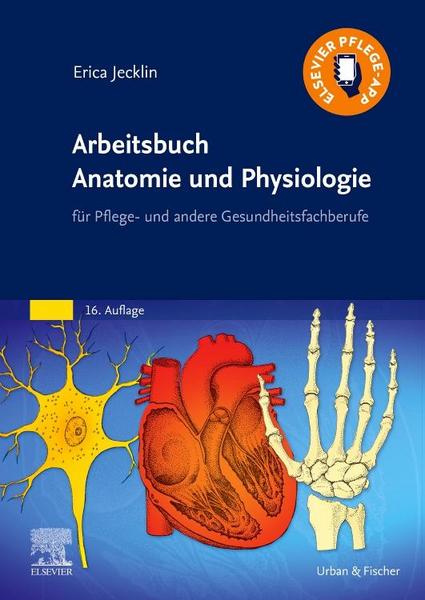 Arbeitsbuch Anatomie und Physiologie